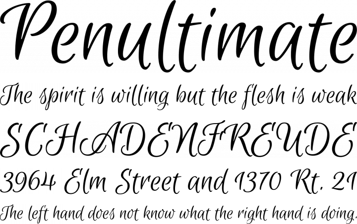 Font Squirrel Euphoria Script Font Free By Typesenses